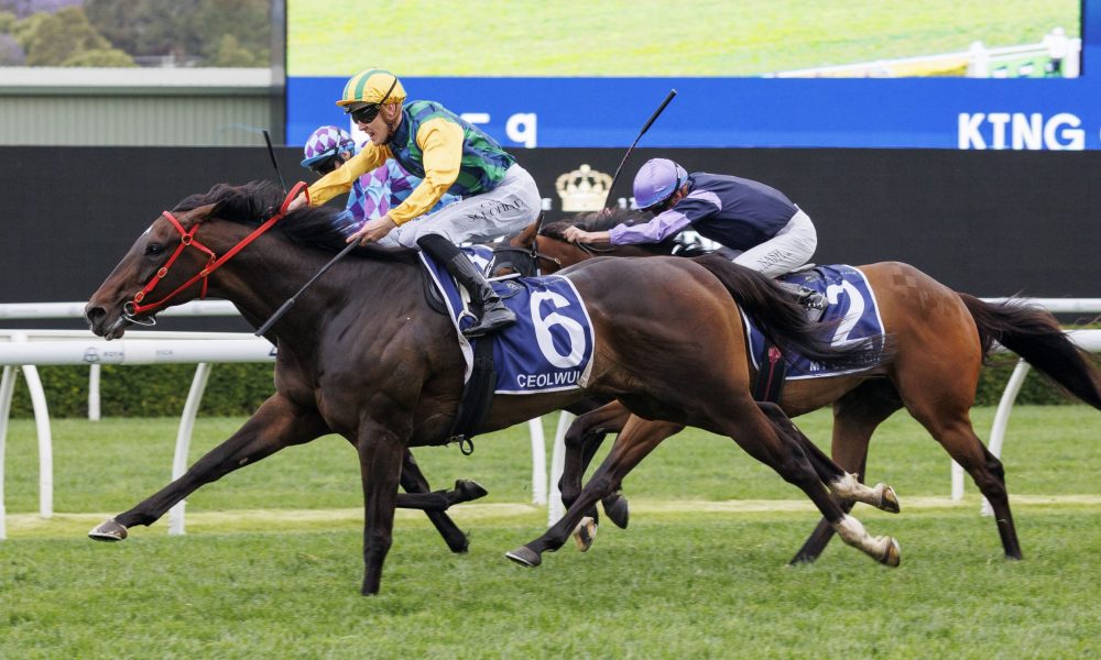 史上一直扮 史上一直扮