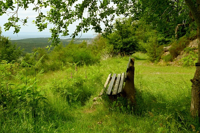 力上的缺口 力上的缺口