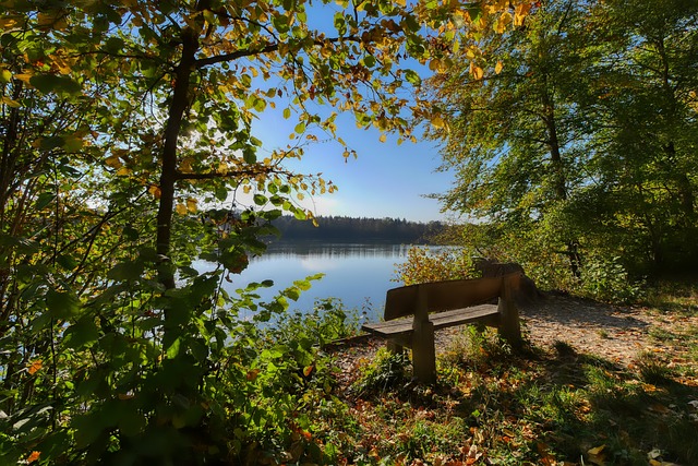 这不仅吸引 这不仅吸引