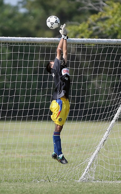 大连英博的 大连英博的